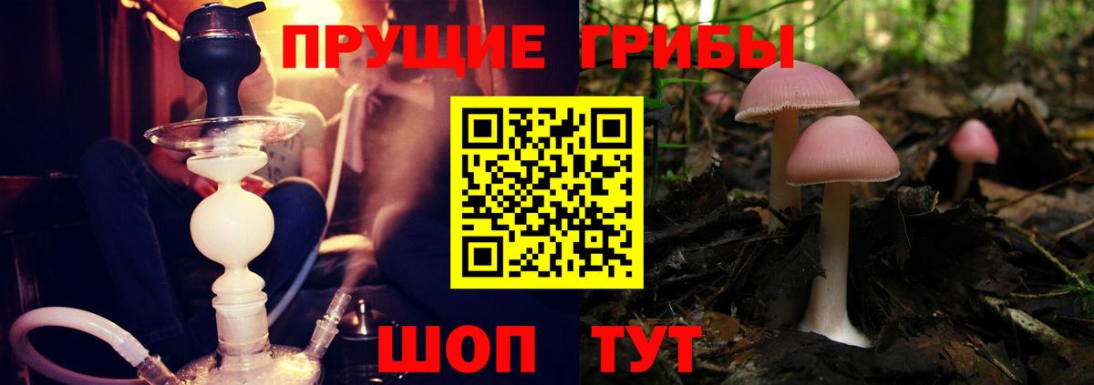 Галлюциногенные грибы мицелий Кудымкар