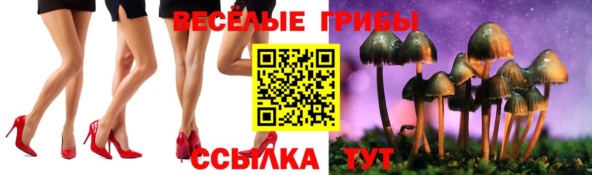 Кудымкар  Галлюциногенные грибы мухоморы  Галлюциногенные грибы Psilocybine cubensis  Вход с VPN 